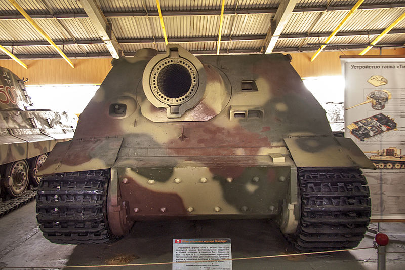 尚存于世的老虎一族第二部分虎王猎虎和突击虎