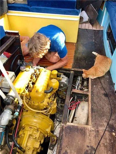 流浪小奶猫遇见了水手后, 开启了一段美妙的海上生活...