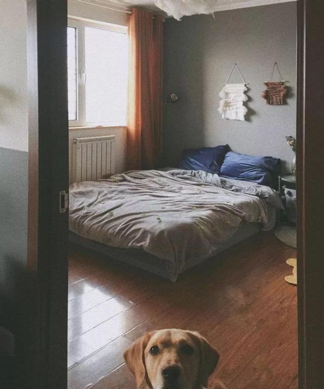 床头朝哪边好，别纠结了！