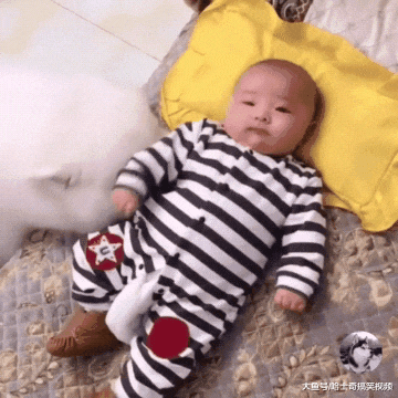 大白狗照顾小主人，因太“细心”走红，要不宝宝就掉下床了