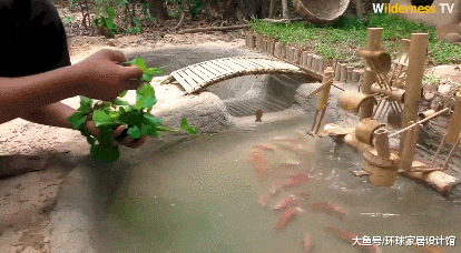 超硬核！为给四只小奶狗一个家，小哥徒手造了一栋别墅！