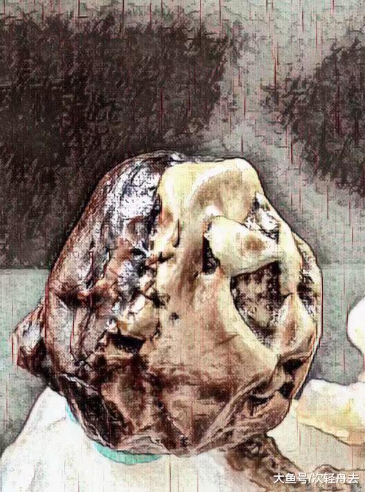 ＂奇石的神秘之美，是用心灵的眼睛才能看到的东西＂