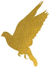 地铁500米，楼下就是荔湾儿童公园，还能望江！门槛只要18万？