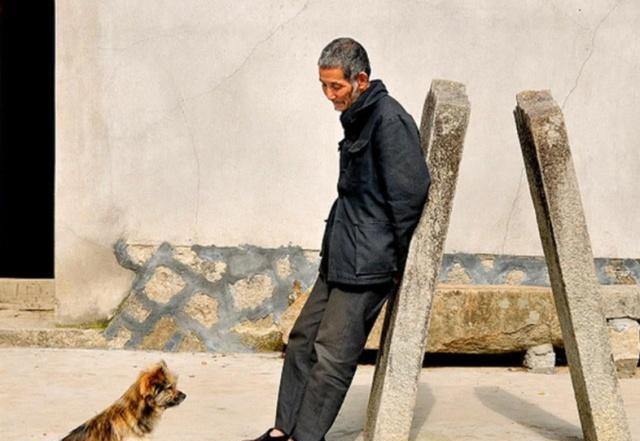 俗语：“狼怕举，狗怕摸”，啥意思？蕴含着老祖宗的大智慧