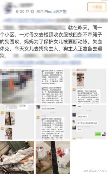 母女被四条狗围着咬，狗主人却在旁边看着女孩的妈妈被咬到休克！