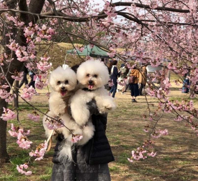 “我喜欢这公园，绝不回去汪！”12张狗狗的直率表情照让你笑不停