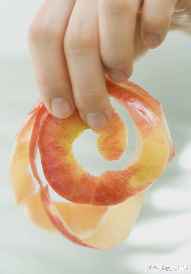 如何把家里的花養得更好？高質量養花手冊等你來拿