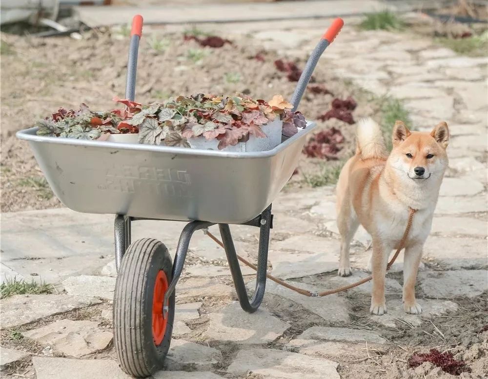 一家三口，住6000平米的房，这也许就是“美好生活”应该有的样子！