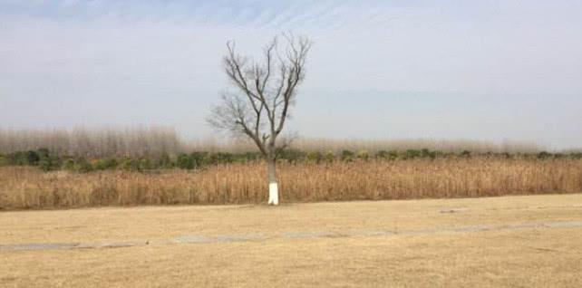 心理学：第一眼看见的是什么，测你天生是什么命格，我是皇后！