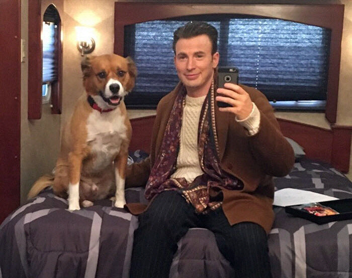 国外电影明星和宠物的不解之缘（一）