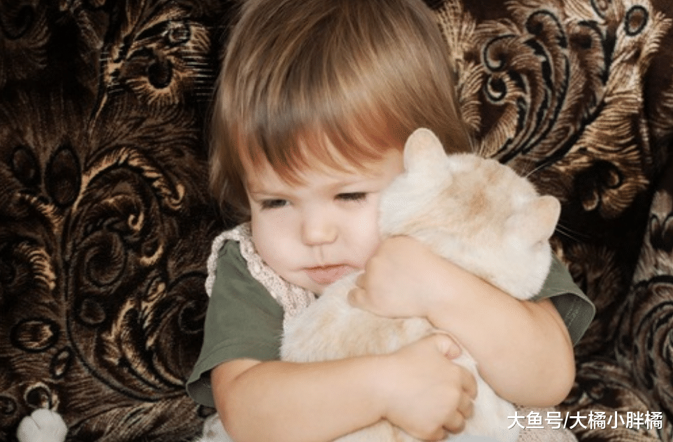 亲手养大的猫却偏偏不让抱？原来是这3个原因作祟，可别强行抱猫
