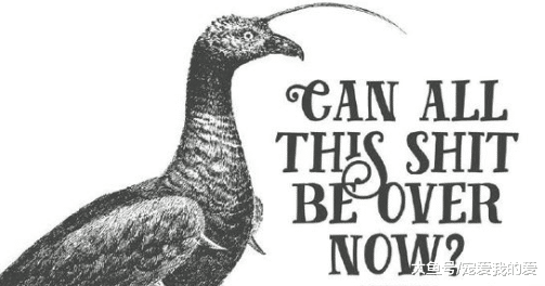 几种动物萌态可掬却快要走向灭绝，上帝：你的智商税交了吗？