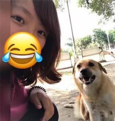 10年后再遇熟悉的狗：当初就是你天天追着我咬？！