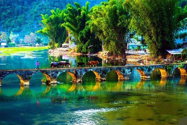 负气含灵通灵峡! 一县一品公益助农, 广西靖西特色农产品大香糯