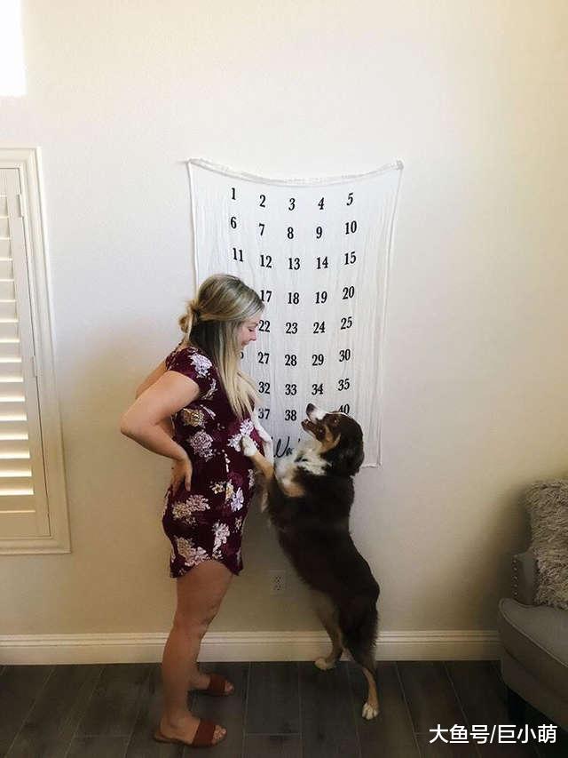 小主人睡醒哭闹，狗狗立刻站起来当保姆，用秘技安慰小主人别哭