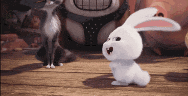 啥叫荷蘭豬？吃你的，喝你的，還死命使喚你