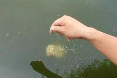 “商品鱼饵”问题多，这5个确定最头疼，这样解决还能用！