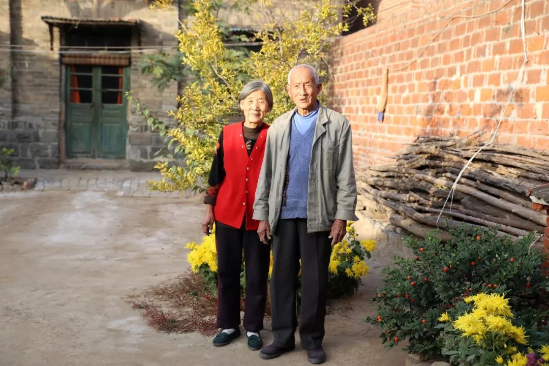 台子镇：乡村“庭院”焕“新颜”