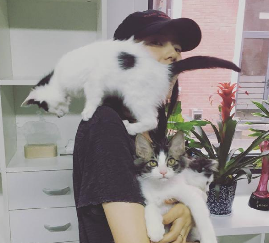 高圆圆现实的豪宅曝光，很简单的房子设计，平时花多数时间养猫了