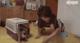 流浪猫为保护宝宝钻在车底，不敢离开小猫，长期憋尿导致身体异常