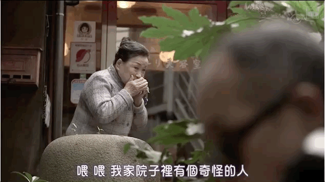 我虽然长得很凶，但我爱猫啊！