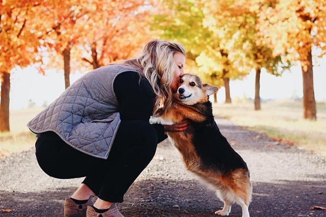 别让狗狗入侵他人的安全距离，保持一定距离，才能成为有礼貌的狗