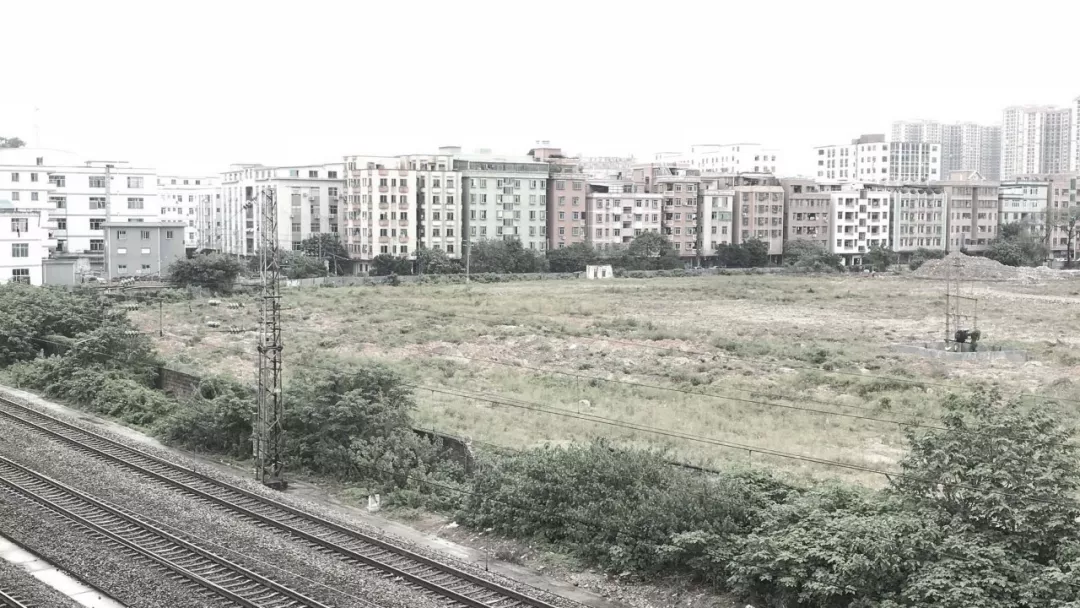 张唐又一新作 | 大鱼公园 Dory Park