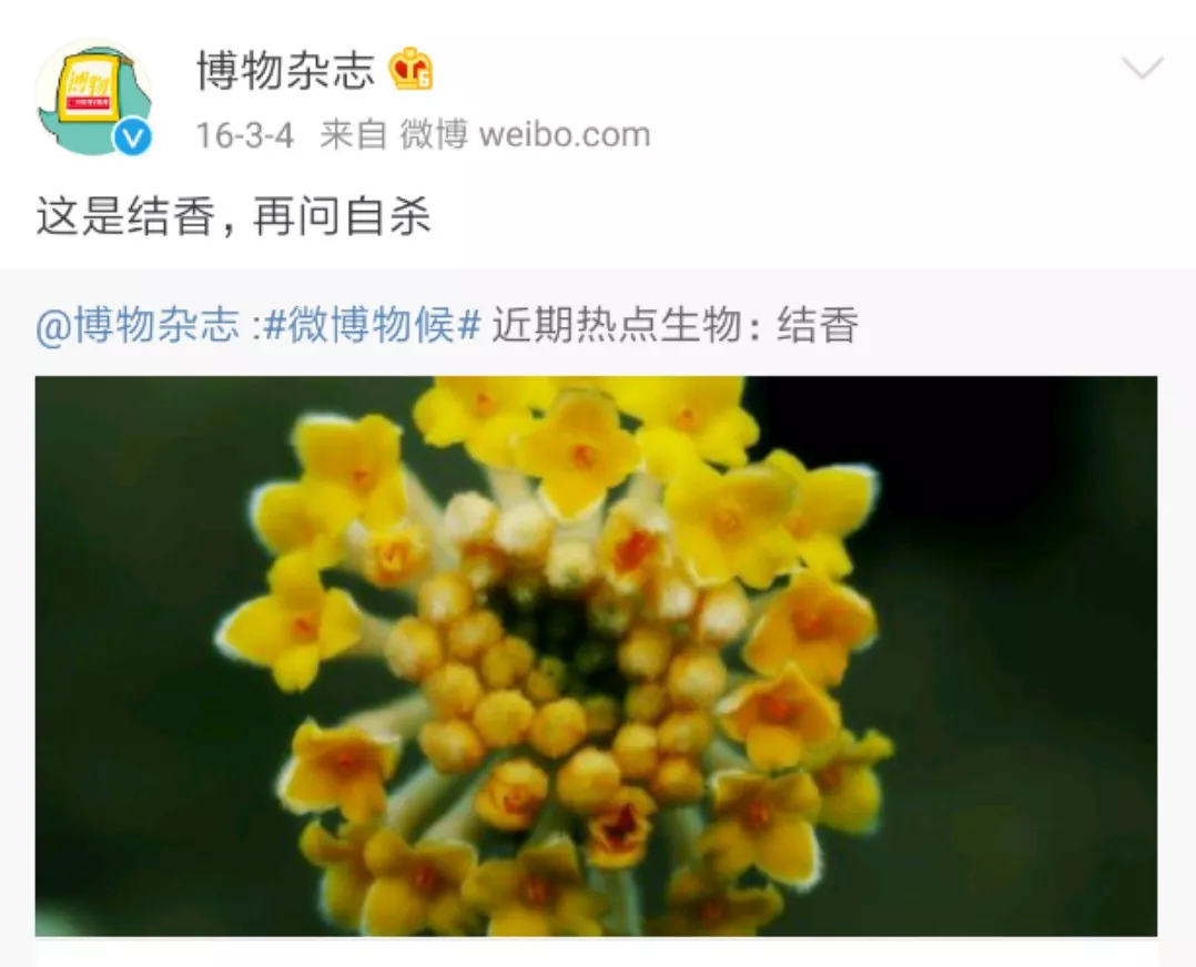 糟心植物大pk，谁是赢家？