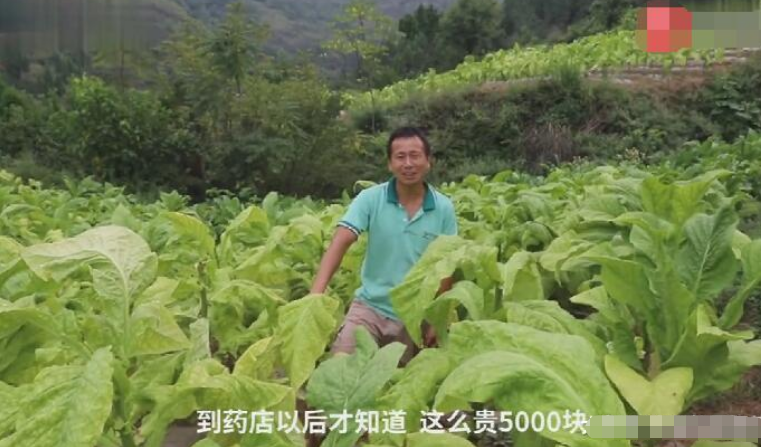 女孩每天吃“伟哥”续命, 医生: 药不能停! 父亲: 128元一粒