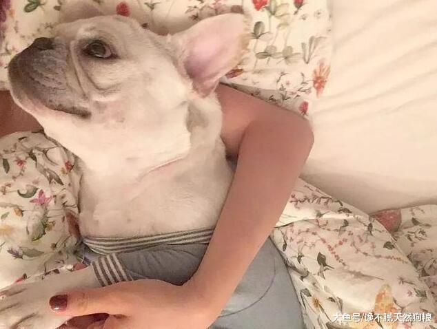 对狗狗来说，这些部位它最喜欢被摸了，每天一摸它会更爱你！