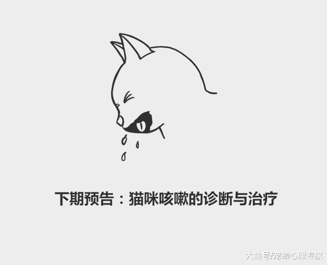 59秒冷盘点：狗狗咳嗽老不好？排除重大疾病找对病因对症下药