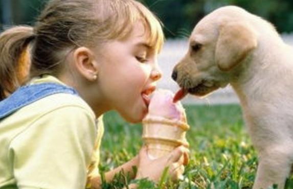 家有萌宝，还适合养宠物吗？注意这几点，萌宝和宠物就能和睦相处