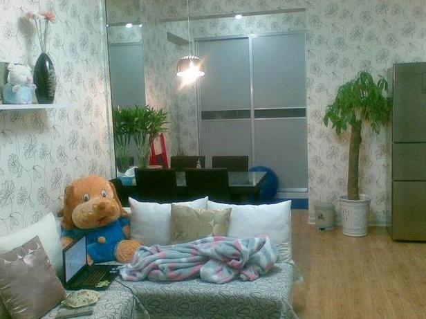 大齡剩女的60平小窩，溫馨舒適，很快樂很滿足，只差一個他！