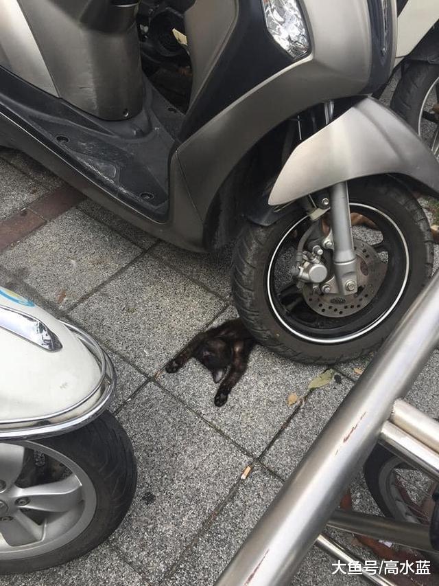 下班回家，刚准备去取车，然后发现我摊上大事了