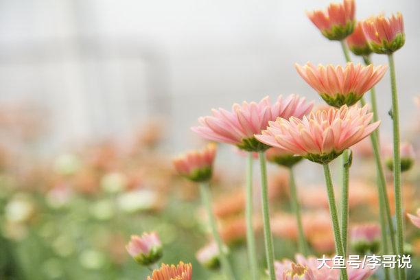 相识百人，不如知己一人！