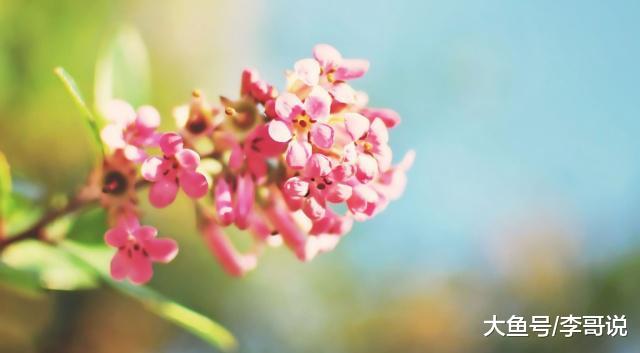 “命里有时终须有”，有三样东西不要强求，越是强求，失去越多