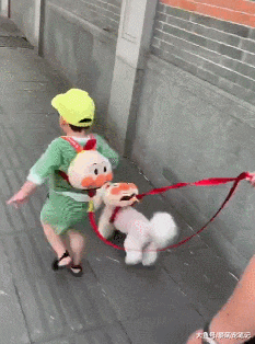 贵宾犬来到家，就主动当起了孩子的“大玩具”，得开多少工资给它