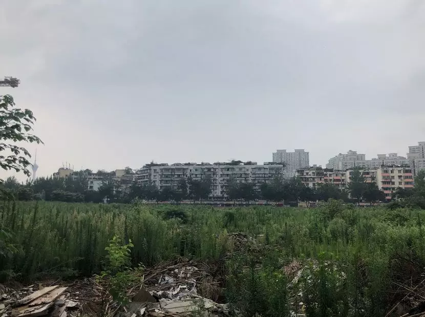 注意！刚刚成都市中心土拍一块地，成交价19800元/㎡