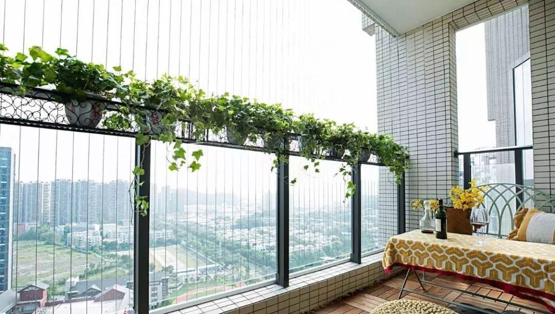 阳台墙砖, 就要耐脏、好看