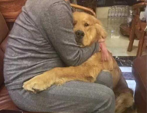 有这5种特征的狗狗，说明已经给宠坏了，再不改可能会咬人！