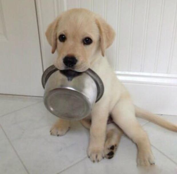 ?晒晒于谦一家人住的豪宅，户外有一大片牧场，太有钱了吧