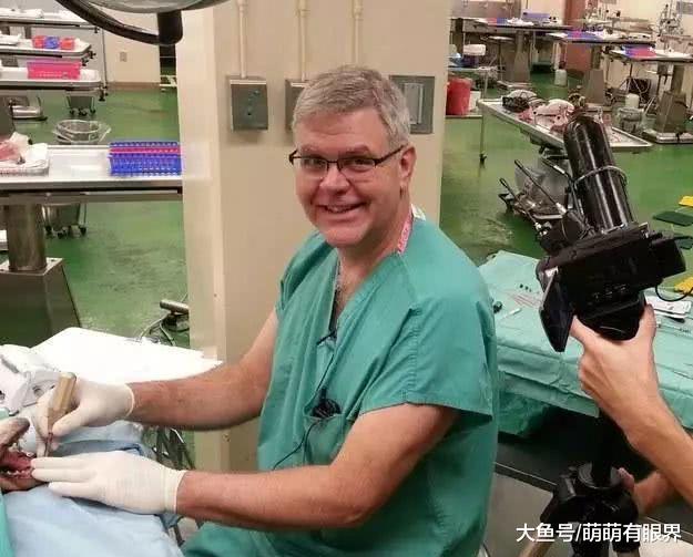 小金毛龅牙，主人给它戴上了矫正牙套，钢牙汪的笑容好魔性……