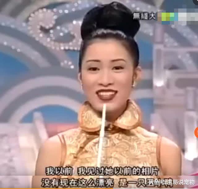佘诗曼参加港姐时情商已经很高？当年的问答环节很圈粉