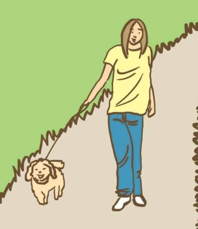 铲屎官不知道的8个狗狗便便古怪习惯，值得你了解！