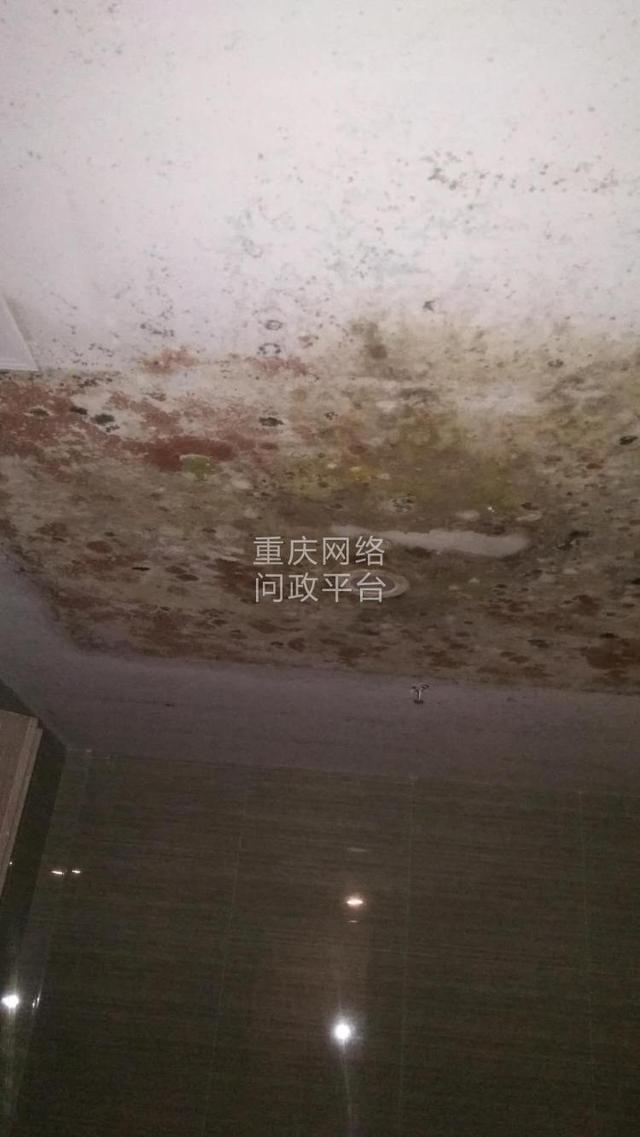 华南城巴南华府业主：好好的房子咋修成这样？