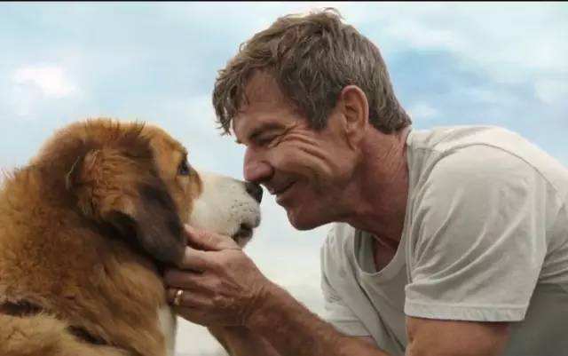 生活很艰辛，它确实你心中落不下的小太阳