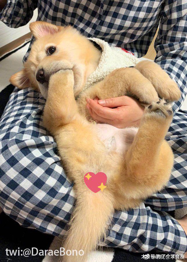 这是学校里最受欢迎的男人