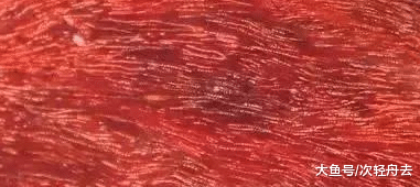 ＂33张高清木材纹理，你认识几种？＂