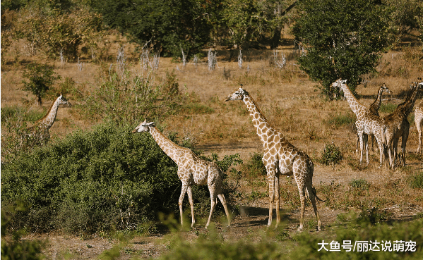 乌干达姑娘来中国生活9年，不肯再回国：我可不想饿肚子了！
