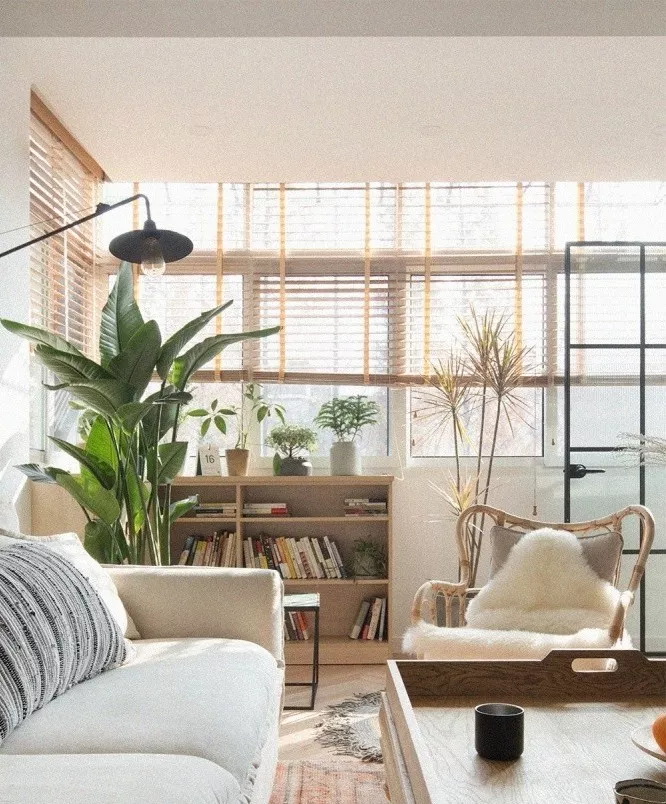 你要在客厅和阳台之间装门？赶紧先停下来！